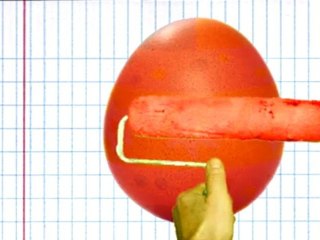 Au commencement était l'oeuf