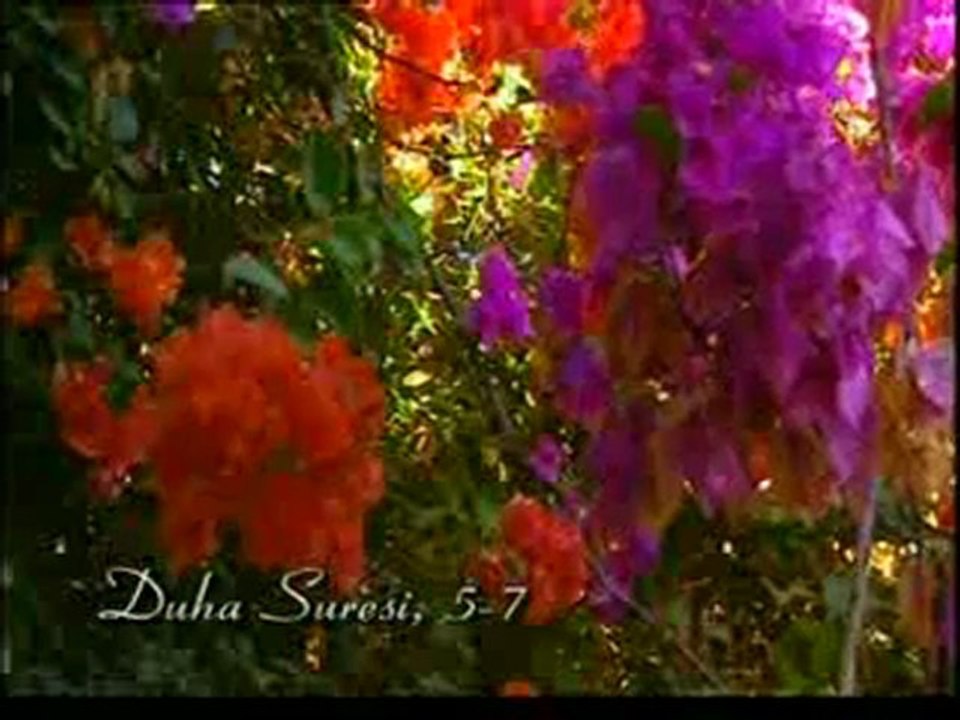 Kuran Meali Duha Suresi 1-9