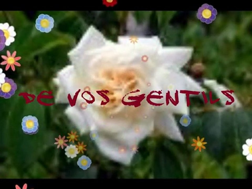 ROSES de l'AMITIE
