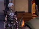 Dragon Age II: Party Profiles: Warrior
