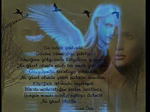 HOŞCAKAL SEVGİLİM