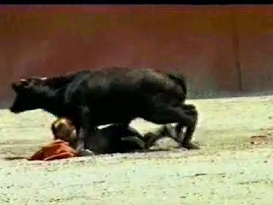 Bayan Matador