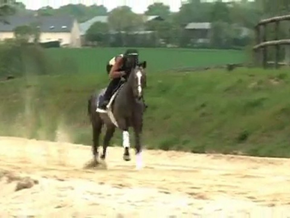 Lot 36