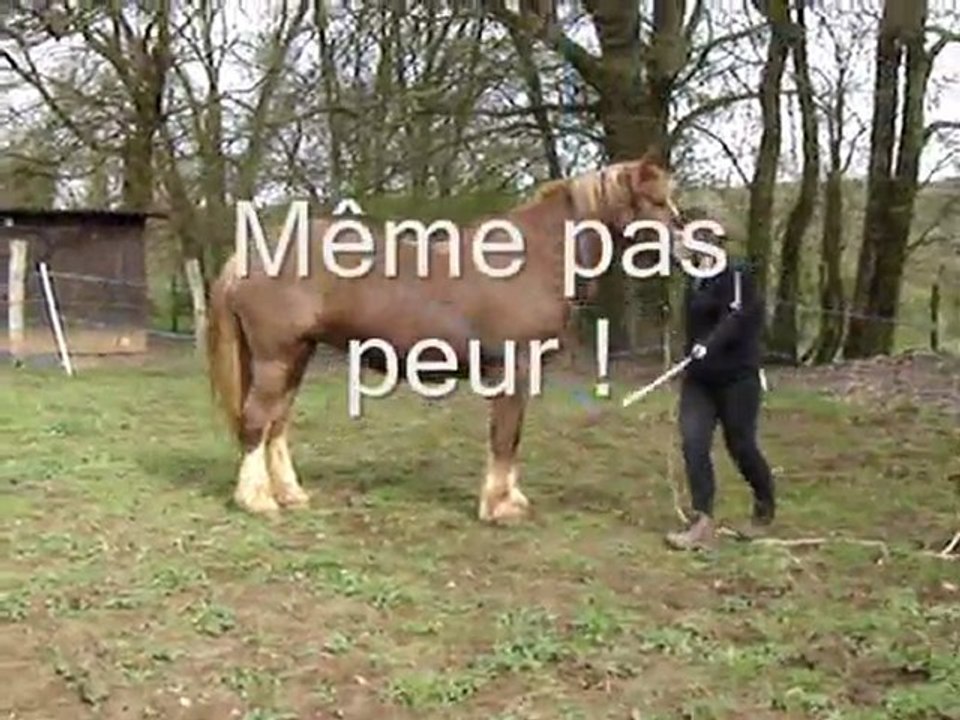 Jeu de l amitié