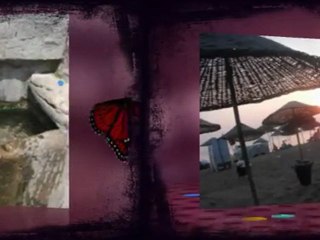 Ben her bahar mutsuzum (Tan)