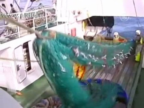 BP подвергается критике год спустя после аварии