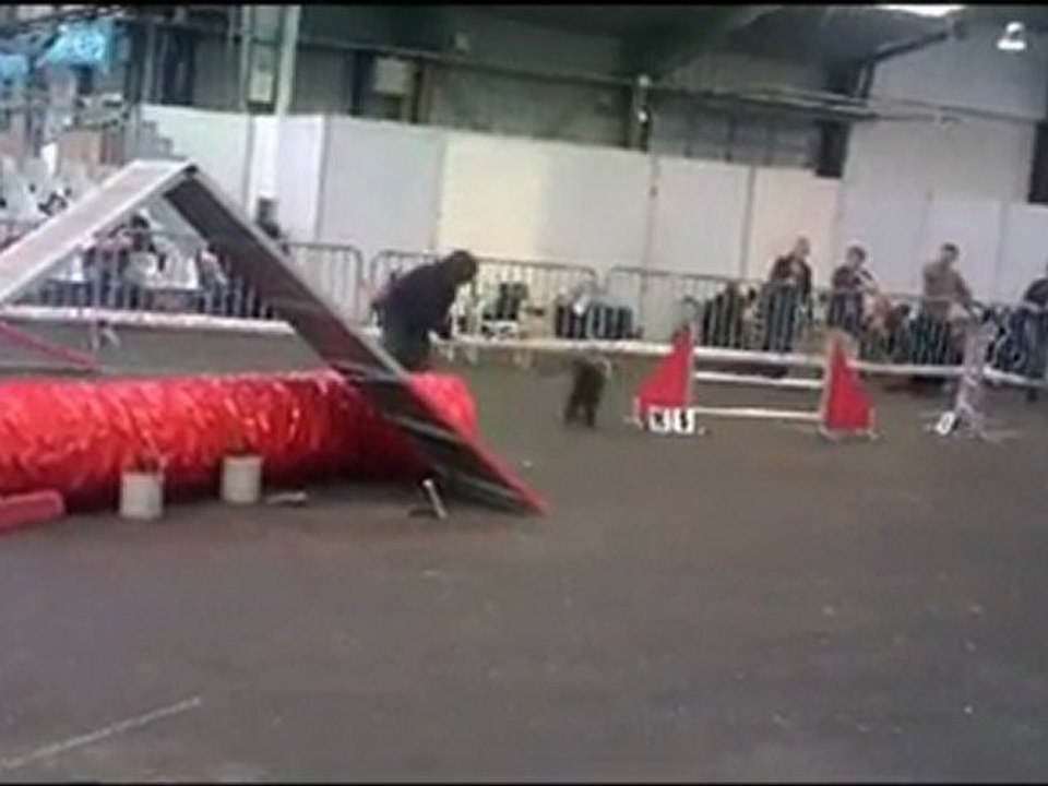 Rozenn Uzsgyi Concours Rennes cesson2011