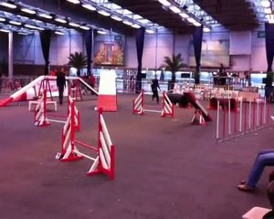 Nicolas Antalaya concours lisieux cesson2011