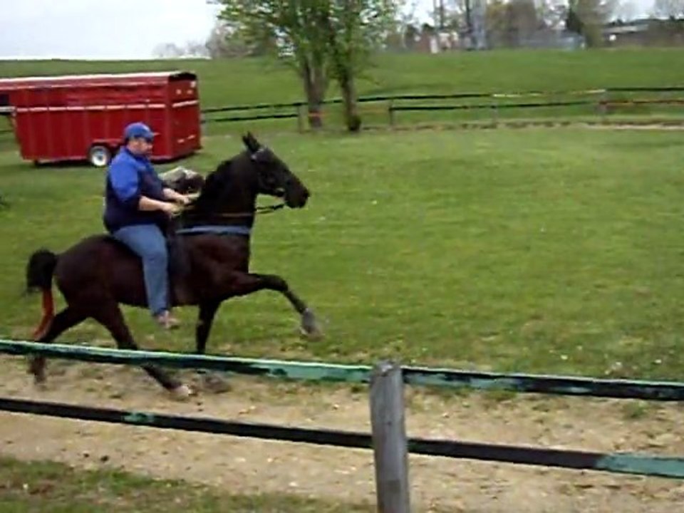 Ritz 4-15-11 006