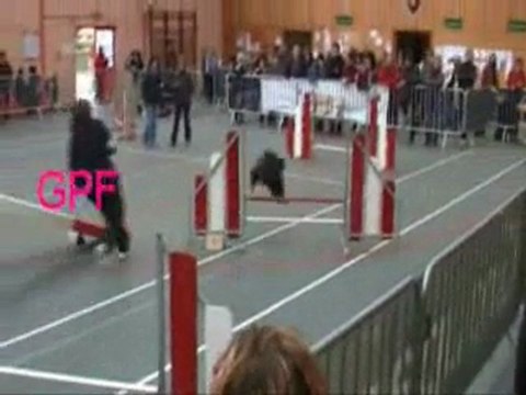 Rozenn Uzsgyi Concours la chapelle rousselin 2011