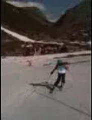 Violette Chamois de Bronze