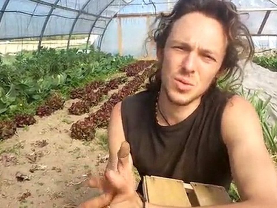Légumes bio du Morvan