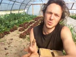 Légumes bio du Morvan