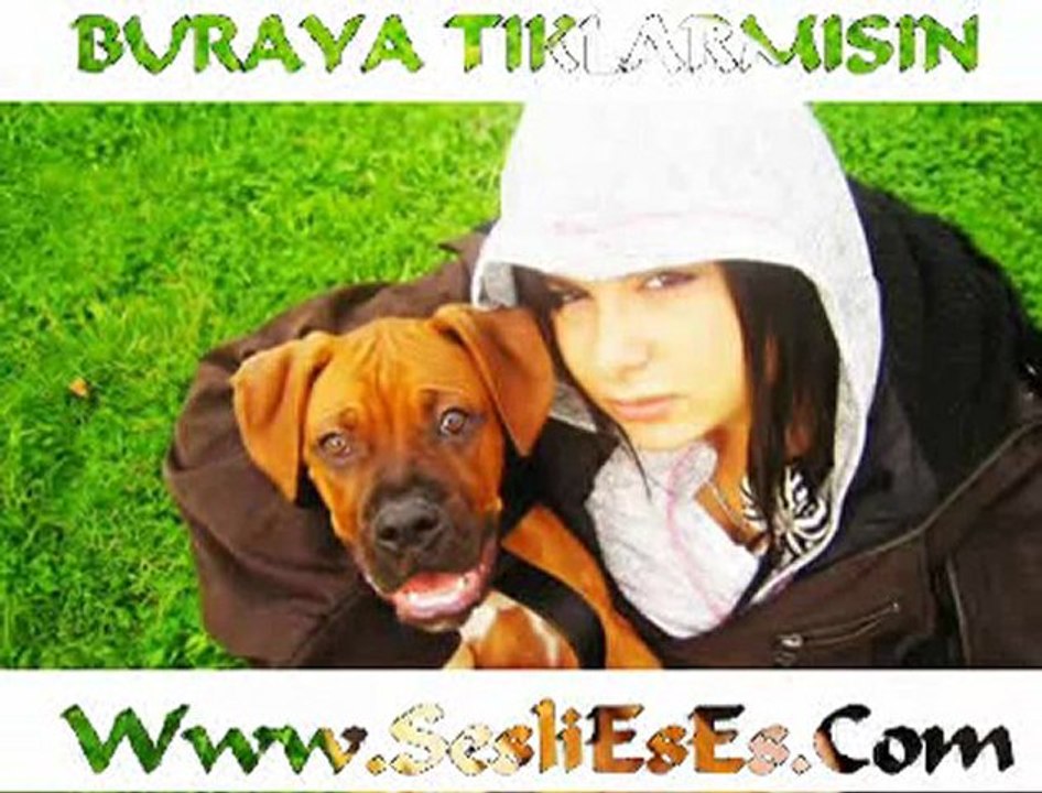 Çatlayın Ortadan Diss