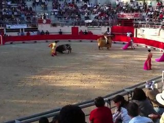 St Martin de Crau 2011 : Tardieu pique