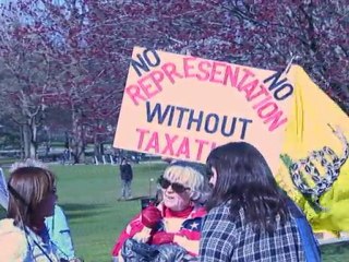 Tea Party radicals rally on US tax day