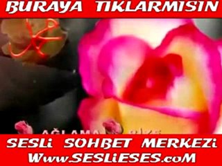 Gelmeyecek O Yalancı