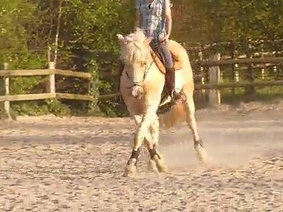 Othello cession trot avril 2011