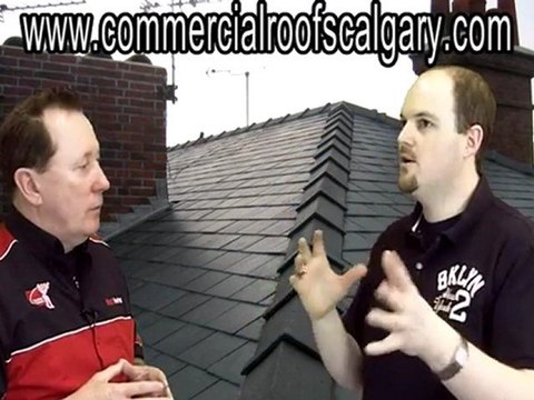 commercialroofscalgary.com Importance of eavestroughs and downspouts