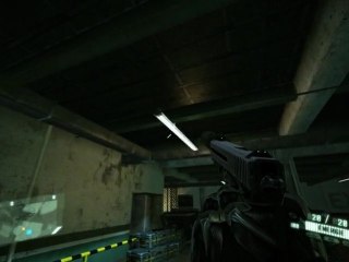 Crysis 2, bug