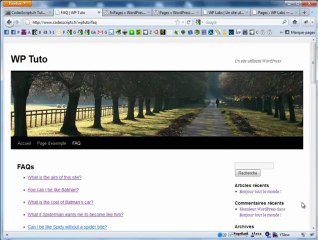 Créer une FAQ Custom Page avec WordPress