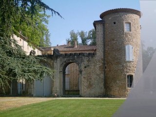 Tangerine Dream. Mothers of Rain. Live.