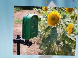 Wildlife and Underwater Cameras