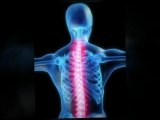 West Bloomfield Chiropractor | West Bloomfield Chiropractors