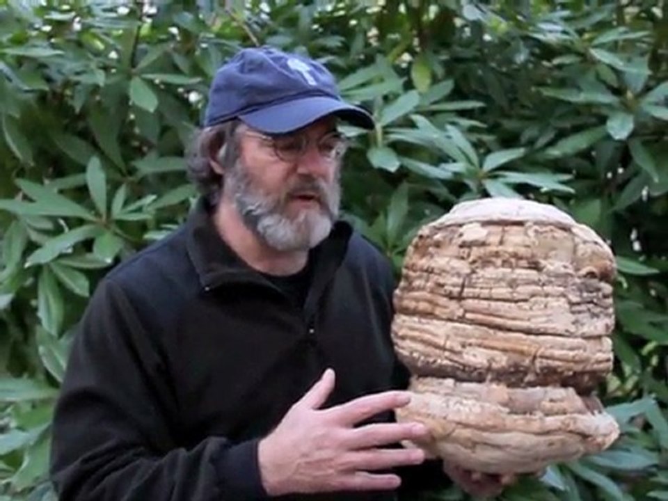 Paul Stamets