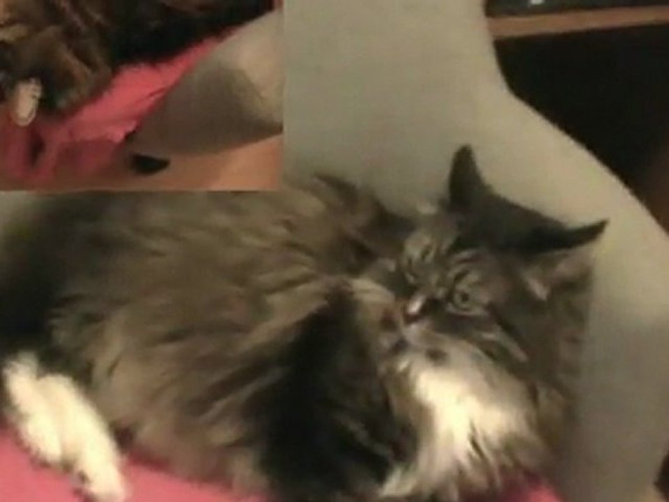 Chez Moi pour Hélène (16 avril 2011)