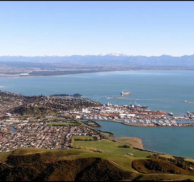 Dentists In Nelson New Zealand