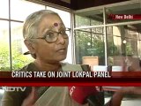 Critics take on joint Lokpal panel