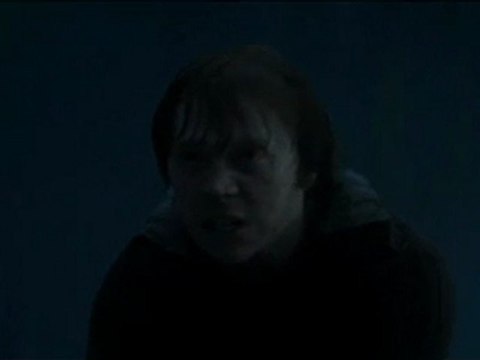 Emma Watson Daniel Radcliffe Kissing Scene In Harry Potter And The Deathly Hallows part 1