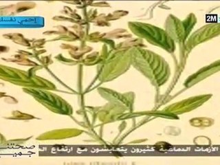 صحتنا جميع: الأحد 17 أبريل