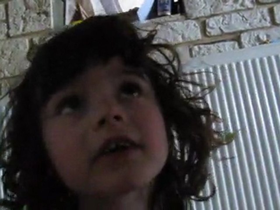 le train des animaux