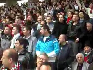 Omuz omuza - www.bayrampasalilar.com