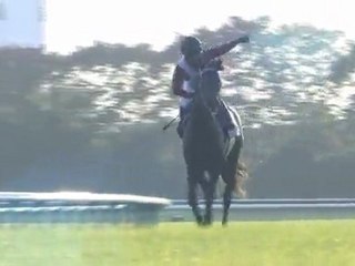 2007 ジャパンカップ アドマイヤムーン