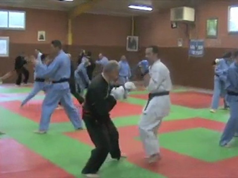 Montage vidéos stage LSVD mars 2011