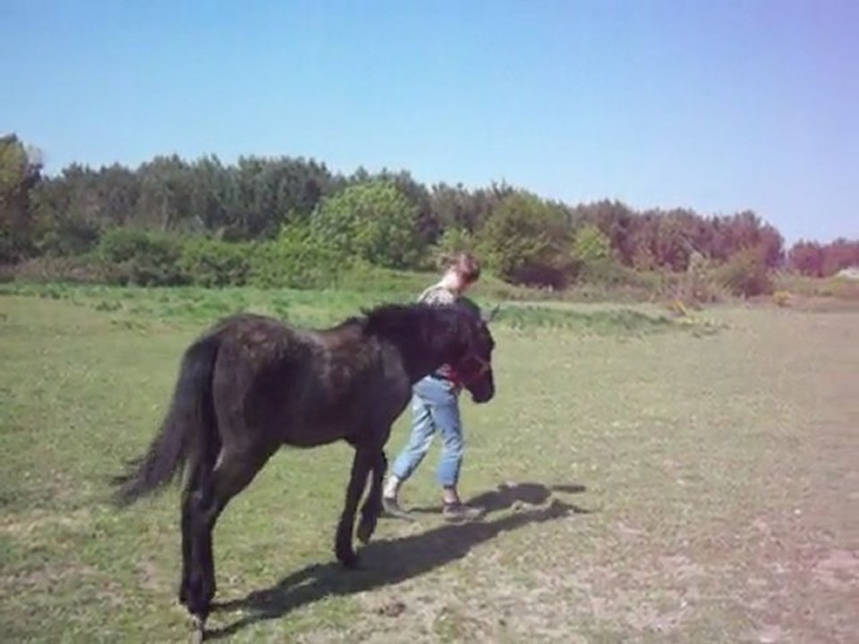 Apéro les débuts du travail à pied, en liberté