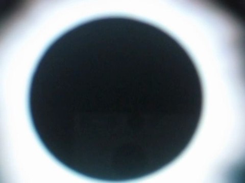 Il est mort le soleil de Nicoletta