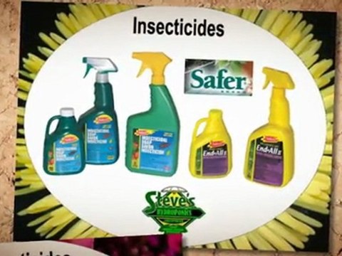 Hydroponics Stores Halifax | Kill Spider Mite