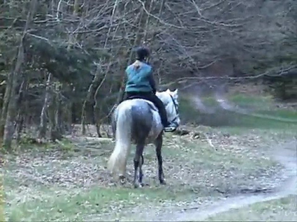 audreykuzco