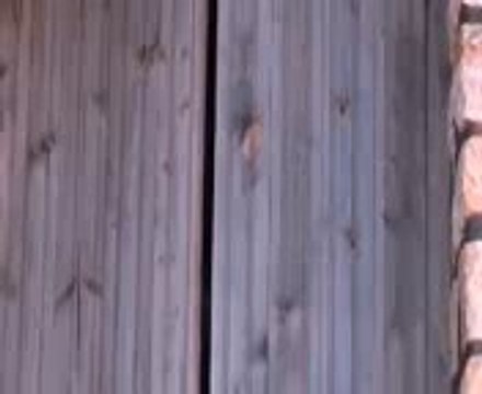 Tahar maibeche iniyid