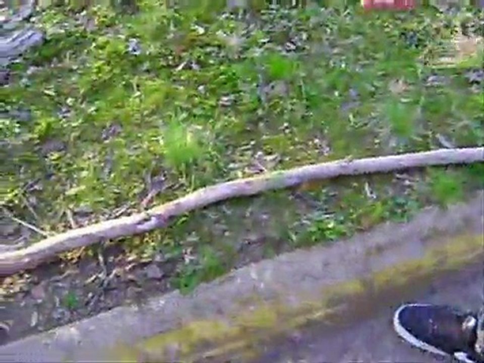 R.I.P. Magic Stick Junior