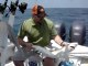 Shark Fishing Naples Florida
