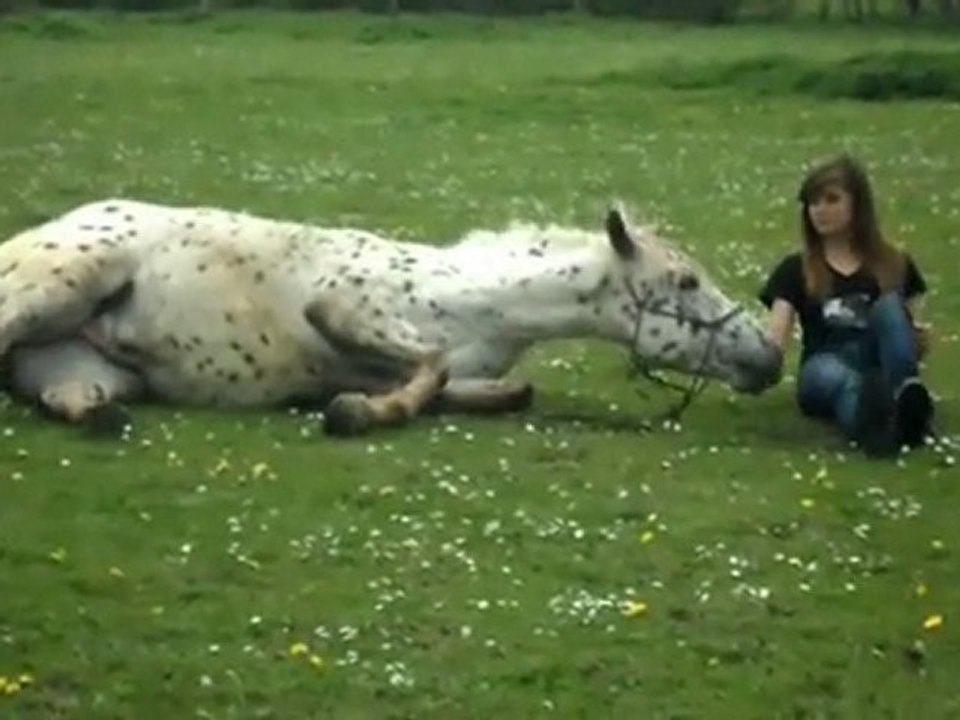 Début vacances d'Avril - Tangka