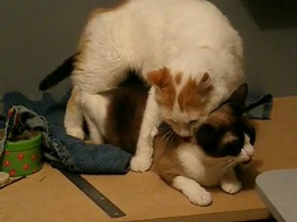 toute 1ere fois, toute toute 1ere fois !!