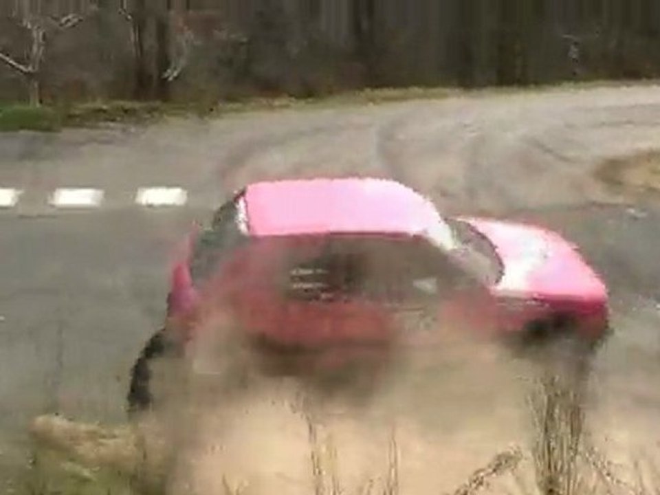 vignes de regnie 2011 Gaudillat-Iafrati