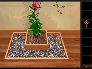 Blossom spring  escape walkthrough