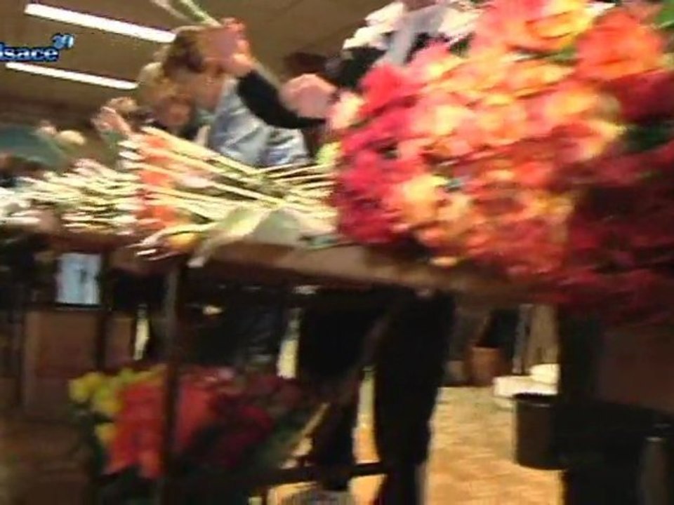 Une rose, un espoir: les motards solidaires! (Alsace)